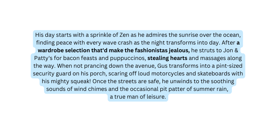 His day starts with a sprinkle of Zen as he admires the sunrise over the ocean finding peace with every wave crash as the night transforms into day After a wardrobe selection that d make the fashionistas jealous he struts to Jon Patty s for bacon feasts and puppuccinos stealing hearts and massages along the way When not prancing down the avenue Gus transforms into a pint sized security guard on his porch scaring off loud motorcycles and skateboards with his mighty squeak Once the streets are safe he unwinds to the soothing sounds of wind chimes and the occasional pit patter of summer rain a true man of leisure