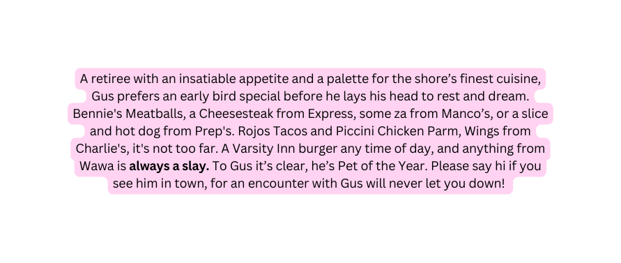 A retiree with an insatiable appetite and a palette for the shore s finest cuisine Gus prefers an early bird special before he lays his head to rest and dream Bennie s Meatballs a Cheesesteak from Express some za from Manco s or a slice and hot dog from Prep s Rojos Tacos and Piccini Chicken Parm Wings from Charlie s it s not too far A Varsity Inn burger any time of day and anything from Wawa is always a slay To Gus it s clear he s Pet of the Year Please say hi if you see him in town for an encounter with Gus will never let you down